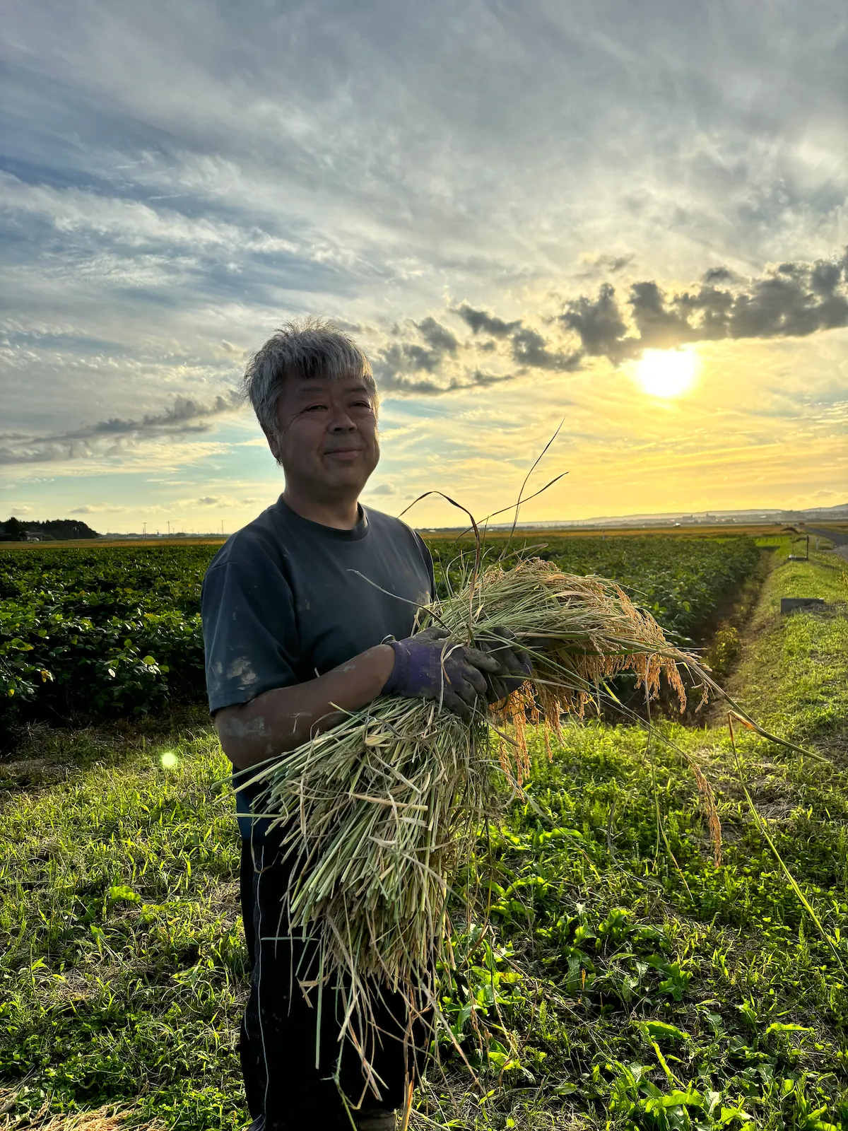 稲穂を手にする相田満久さん